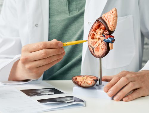 patologia-renal