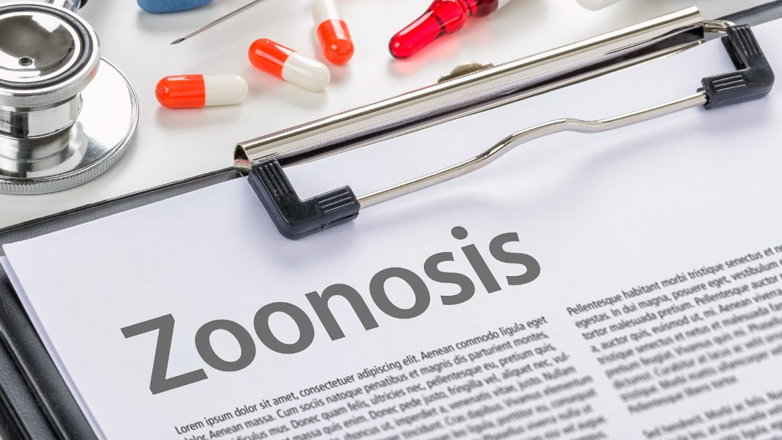las-zoonosis-comunes-españa